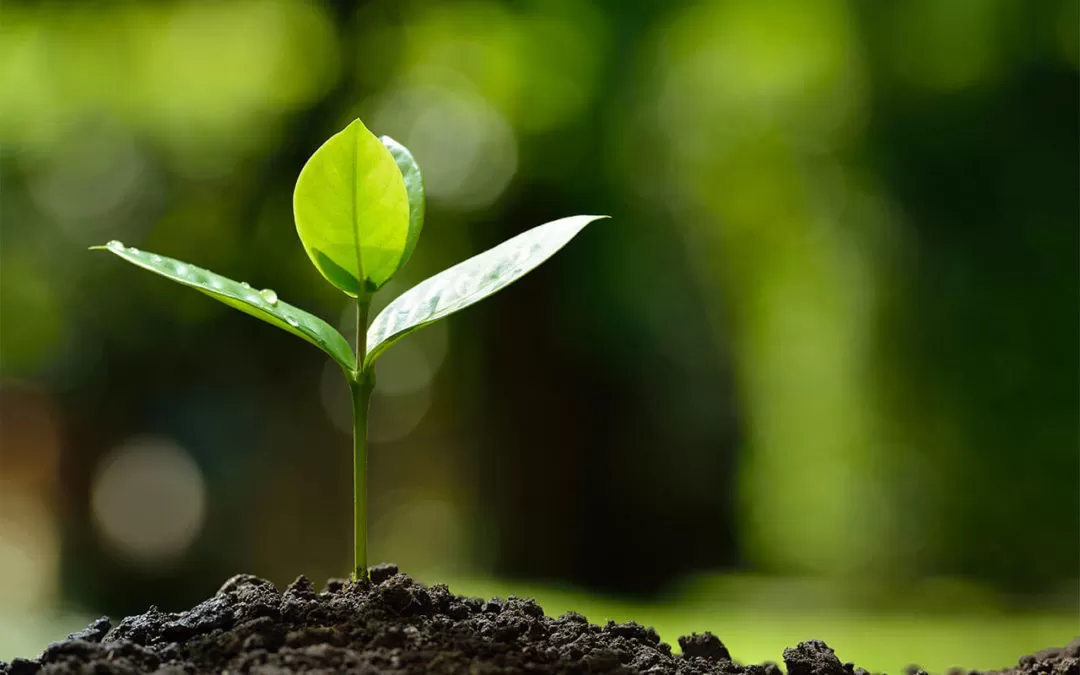 شواحن كهربائية آمنه وموثوقة