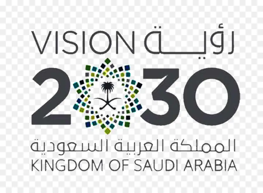2030 vision logo